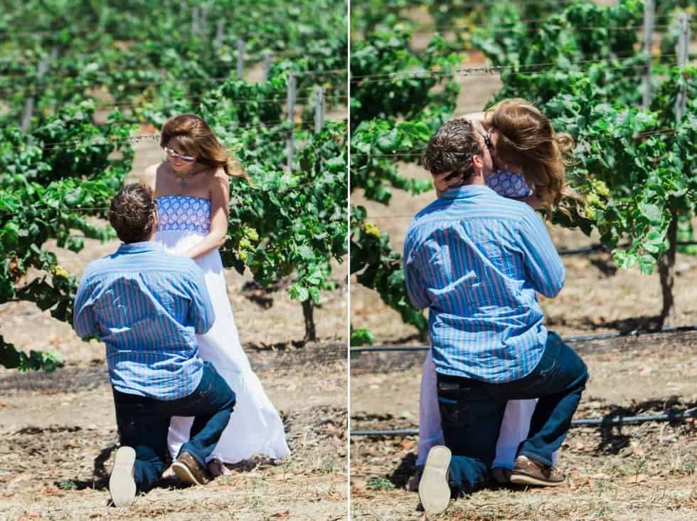 Central Coast Vineyard Proposal 2