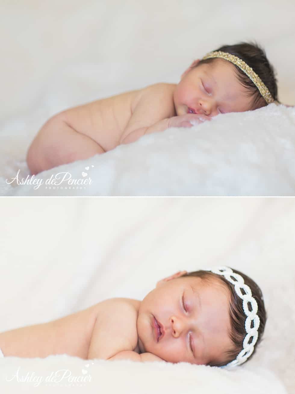 newborn portraits 6