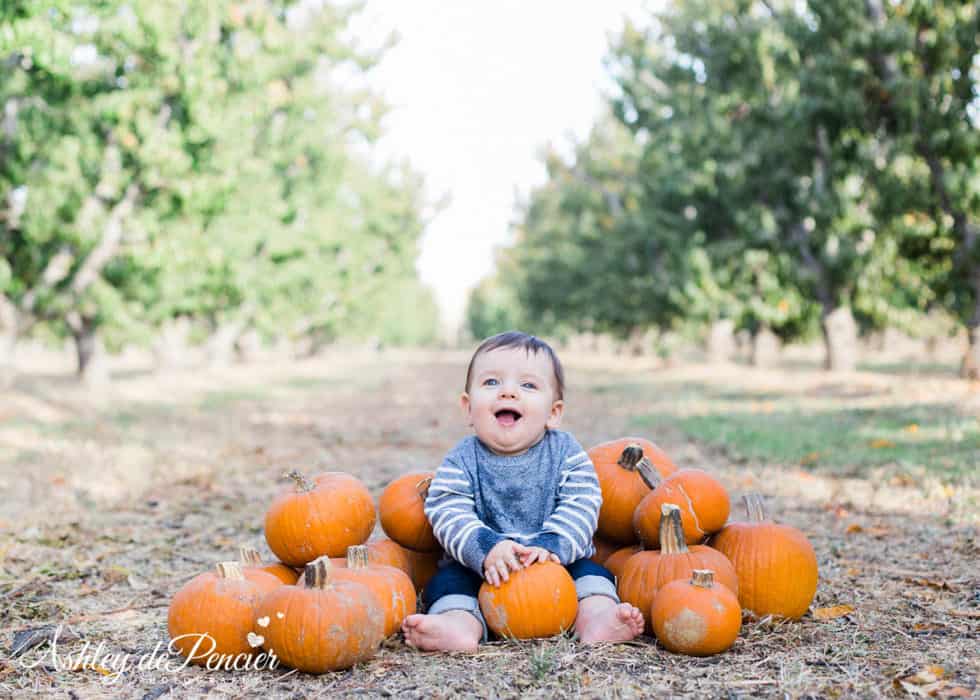 Little boy sitting with pumpkins