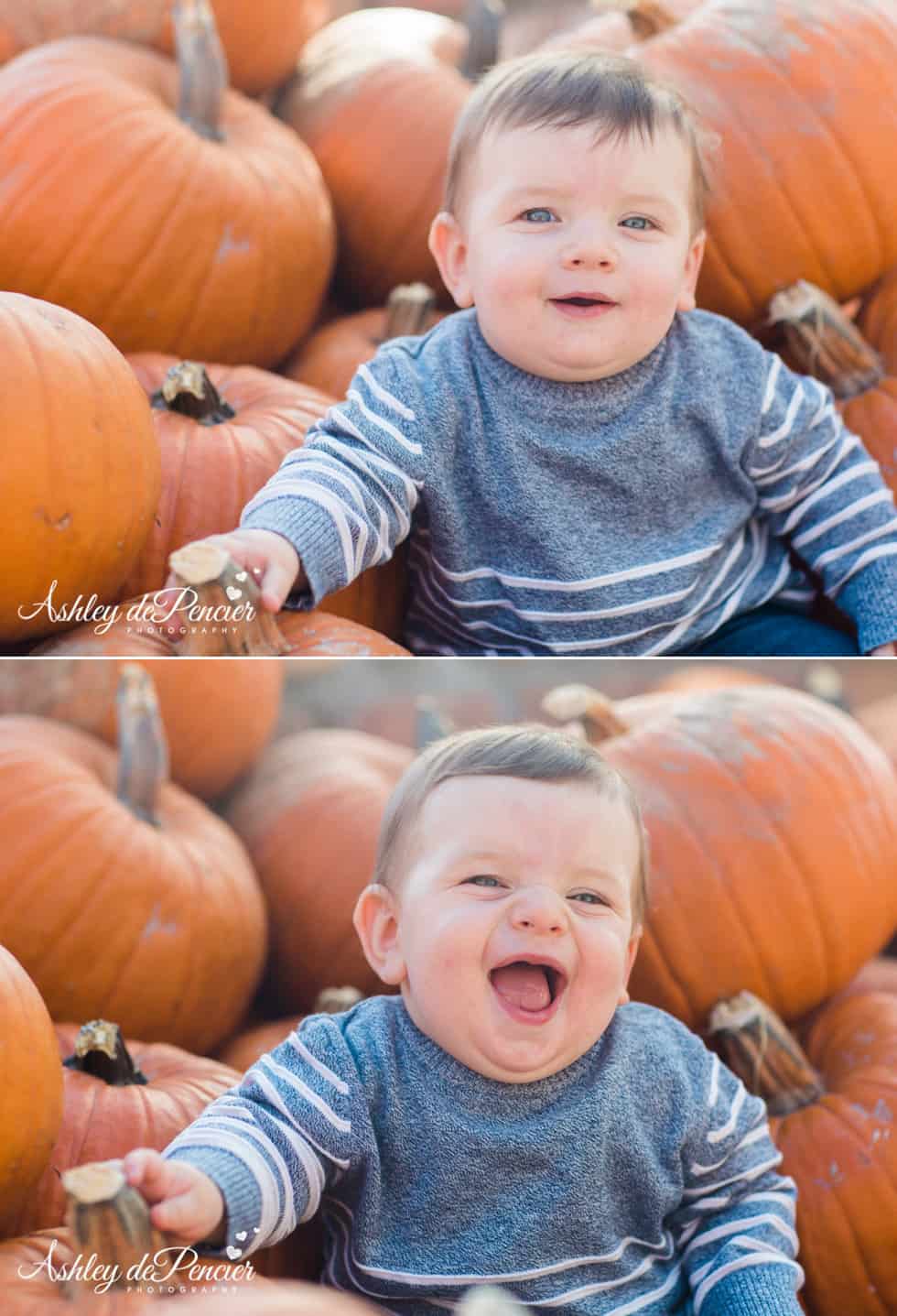 Little boy smiling and sitting with pumpkins
