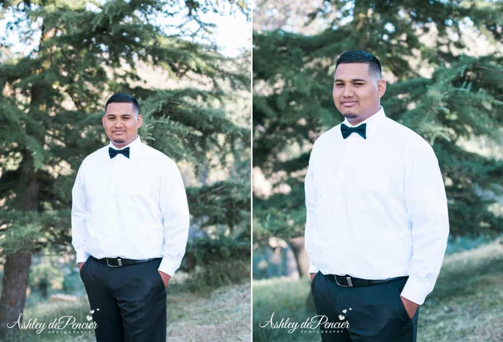 Portrait of a man in a dress shirt and bowtie