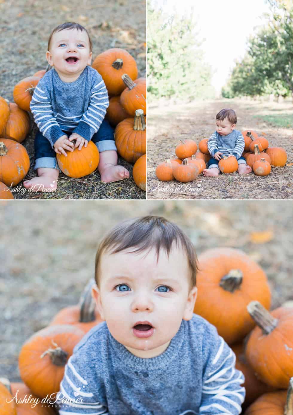 Six month old boy playing with pumpkins