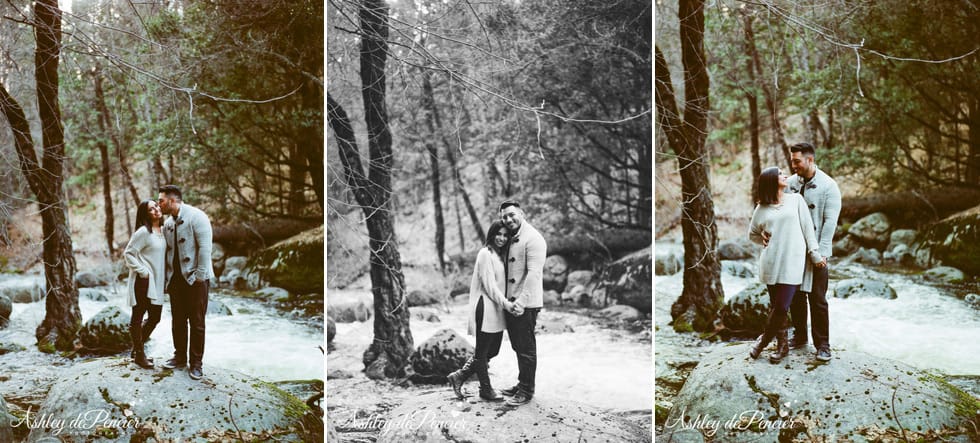 Engaged couple standing by a tree