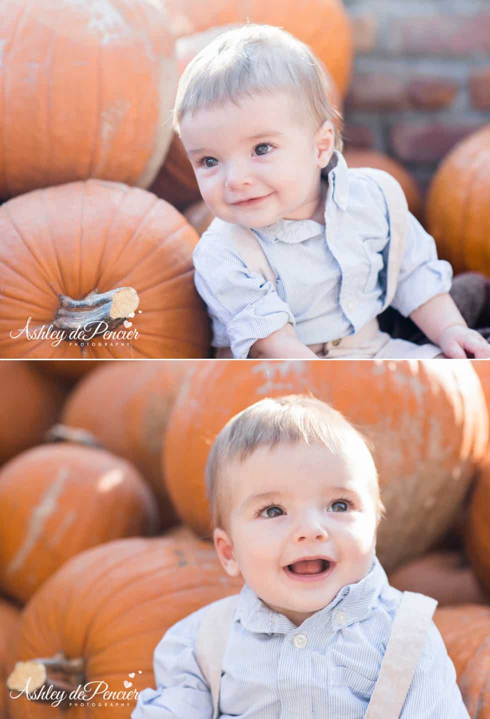 little boy sitting in a pumpkin patch