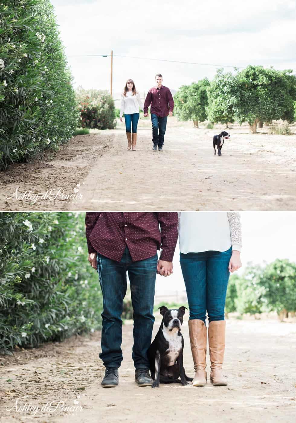 Man and woman walking with their dog