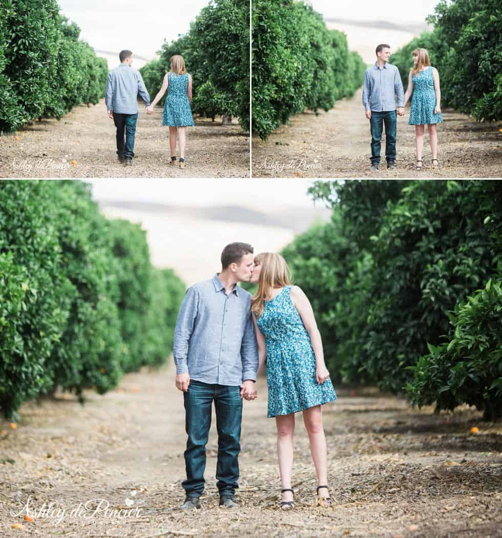 engaged couple kissing in an orchard
