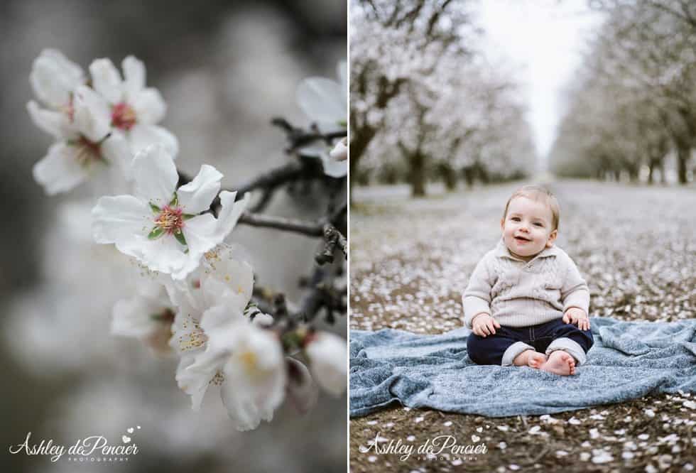 almond session portraits 1