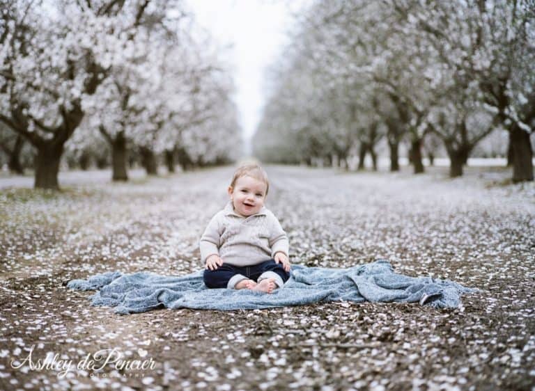 The Keeler Family Almond Session Ashley dePencier Photography