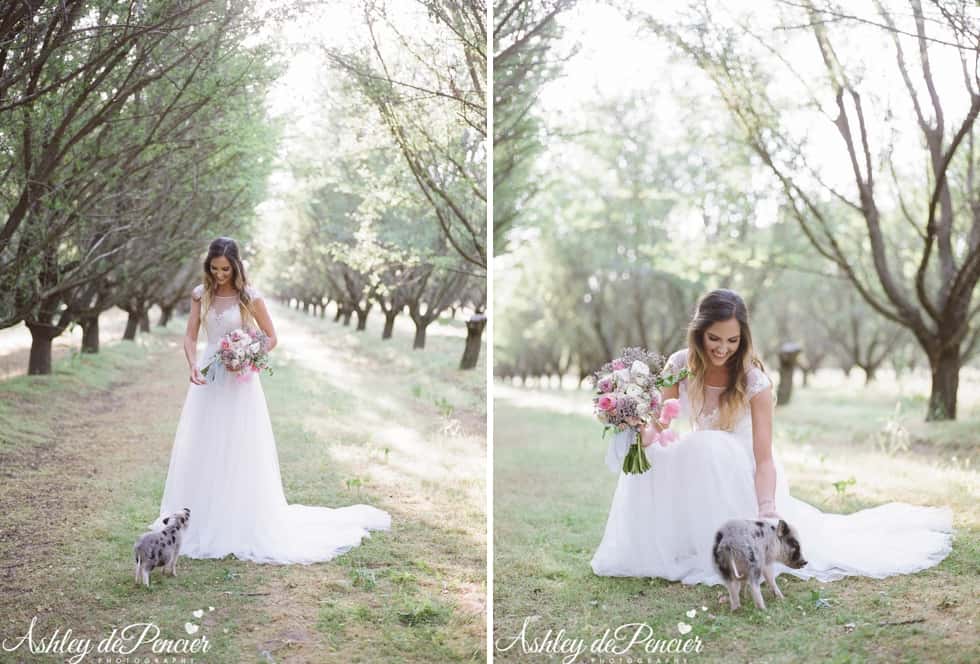 wedding photographer, wedding photographers, bakersfield photographer, bakersfield photographers, bakersfield wedding photographer, bakersfield wedding photographers, bakersfield engagment photographer, bakersfield engagmenet photographers, bakersfield portrait photographer, california wedding photographer, central coast wedding photogrpaher, film photographer, film wedding photographer, california film wedding photographer, medium format film photographer, medium format film photography, wedding photography, bakersfield wedding photography, california wedding photography, natural light photographer, california natural light wedding photographer