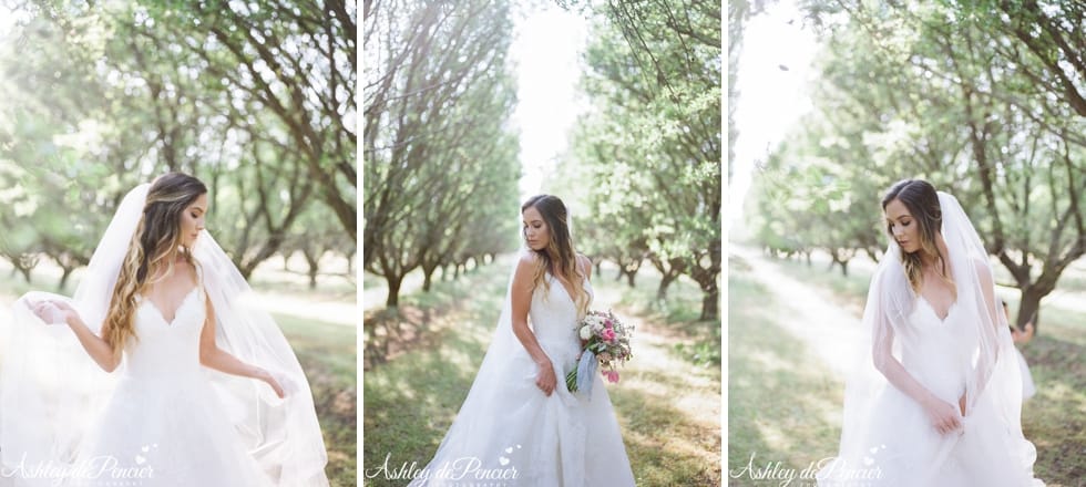 wedding photographer, wedding photographers, bakersfield photographer, bakersfield photographers, bakersfield wedding photographer, bakersfield wedding photographers, bakersfield engagment photographer, bakersfield engagmenet photographers, bakersfield portrait photographer, california wedding photographer, central coast wedding photogrpaher, film photographer, film wedding photographer, california film wedding photographer, medium format film photographer, medium format film photography, wedding photography, bakersfield wedding photography, california wedding photography, natural light photographer, california natural light wedding photographer